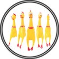 #55 Shrilling Chicken