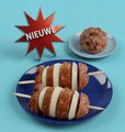 Spoetnik huisgemaakt