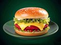 Tiroler burger met cheese