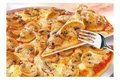 Funghi