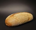 Vikorn vloerbrood