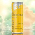 Redbull Tropische smaak