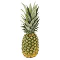 (Art. 20) Ananas