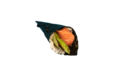spicy zalm hand roll