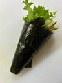 spicy ebi handroll