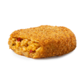 nasischijf