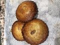 Gevulde koek