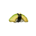Avocado nigiri