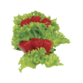 Sashimi Tonijn "4 stuks"