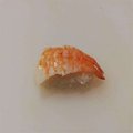 Garnaal nigiri