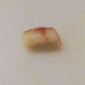Zeebaars nigiri