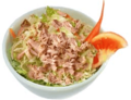 (48) Tonijn salade
