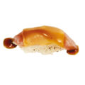 (11)Nigiri cheese tuna