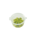 Wasabi