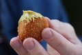 Bitterballen