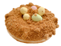SPECULOOS NEST