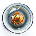 wonton zalm