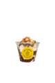Sundae Nutella met nootjes