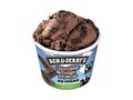 Ben & Jerry's Chocolate Fudge Brownie
