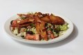 Fatoush salade