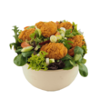 Salad Bowl + Gratis Schweppes Mojito 0,0%