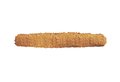 XXL Kipstick