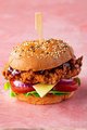 Crispy fillet burger hot en spicy