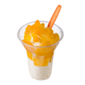 Sorbet groot