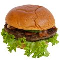 Classic American Burger