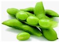90 edamame