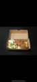 Frikandel Oosterpark
