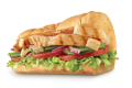 Chicken Filet 15cm