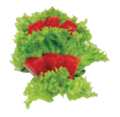 81. Sashimi Tonijn