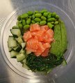 Zalm Bowl Klein