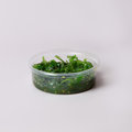 Wakame
