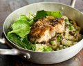RISOTTO