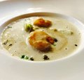 SOUP OF THE DAY