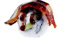 32. UNAGI CREAM CHEESE 6 st.
