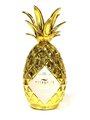 Pinaq Original GOLD