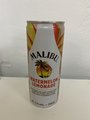malibu watermeloen