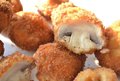 Champignons bierbeslag