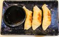 565. Gyoza/kip pastei (5)