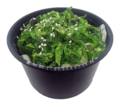 106 Wakame salade