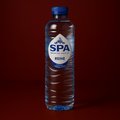 Spa Blauw Fles (500ml)