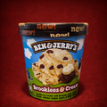 Ben & Jerry's Brookieees & Cream (465ml)