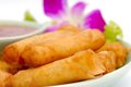 Spring roll