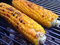 Corn Cob