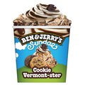 Ben & Jerry's Cookie Vermont-ster Sundae 465ml