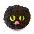 Black Cat