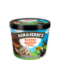 Ben & Jerry's Peanut Butter Cup